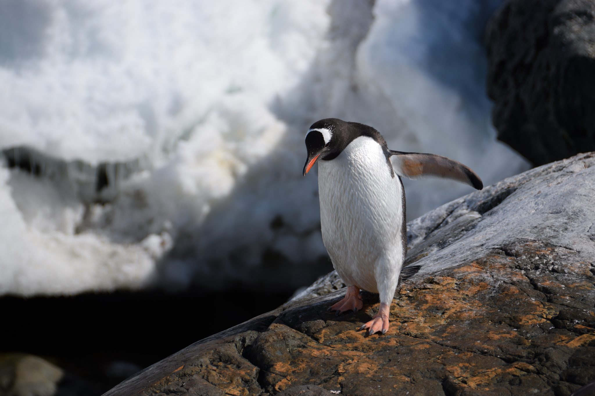 Mountain Pacific Group office building