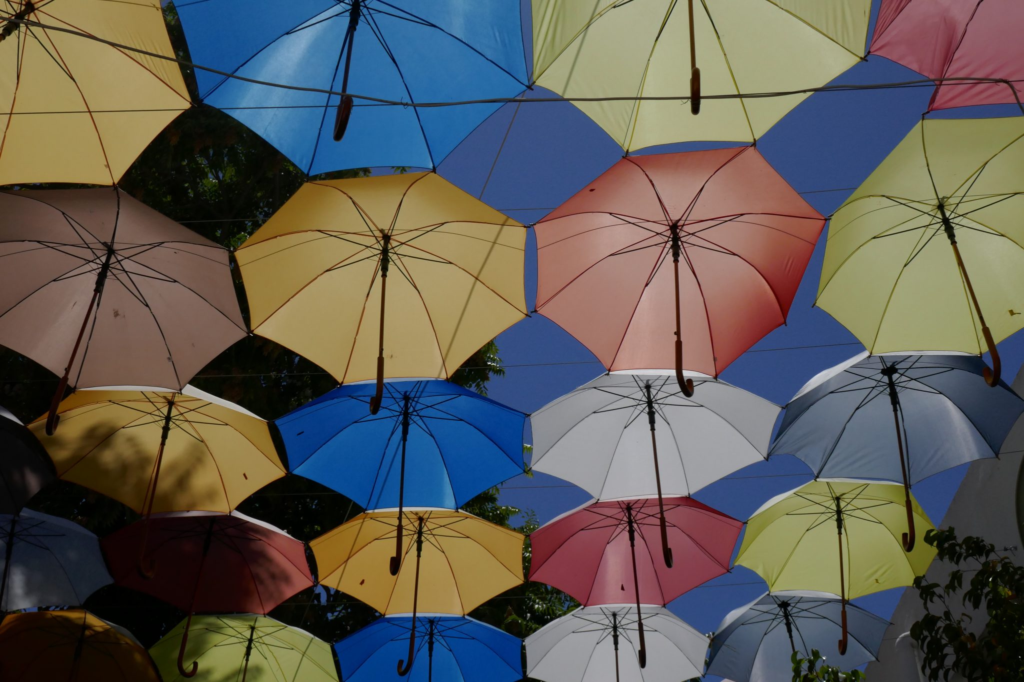 Global investment perspective